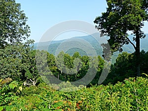 Blue Ridge Parkway Standing Rock Overlook