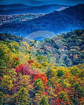 Blue ridge and smoky mountains changing color in fall