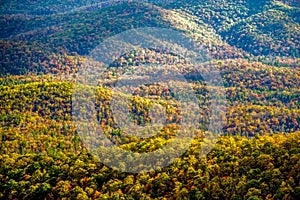 Blue ridge and smoky mountains changing color in fall