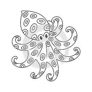 Blue Ring Octopus Isolated Colorless