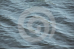 blue rippling water surface background.