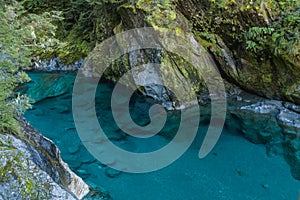 Blue River at Blue Pools track. South Island,New Zealand. Blue pool track is a short walk from State Highway 6, Haast Pas