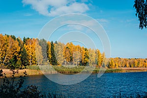 Blue river and golden autumnal forest