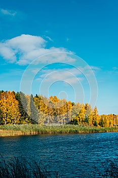 Blue river and golden autumnal forest