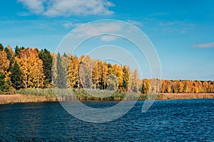 Blue river and golden autumnal forest