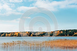 Blue river and golden autumnal forest