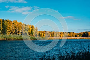 Blue river and golden autumnal forest