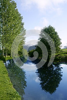 Blue river reflexion in a forest