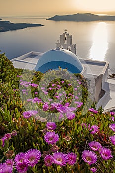 Blue-roofed church surrounded by flowers