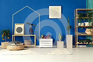 Blue room with decorative plants