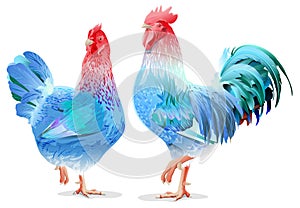 Blue Rooster and chicken female symbol 2017 by Chinese calendar