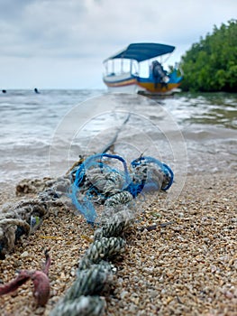 blue rope that binds a passenger ship against a background of blue sky and green mangroves