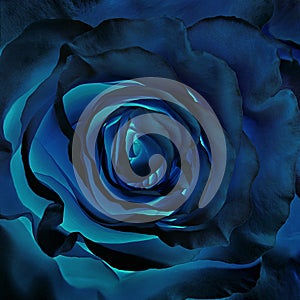 Blue rose in classic blue background color. For postcards, packages. Trend color