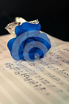 Blue rose and the music notes