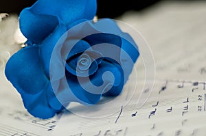 Blue rose and the music notes