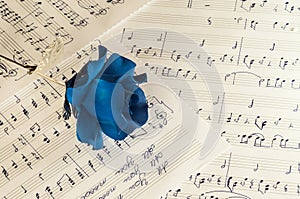 Blue rose and the music notes