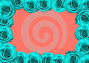 Blue roses square frame on coral background
