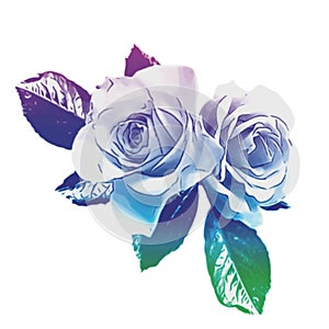 Blue roses. Symbol of undying love
