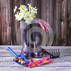 Blue rubber boots, a bouquet of daffodil flowers, seeds and garden tools. Gardening and growing flowers