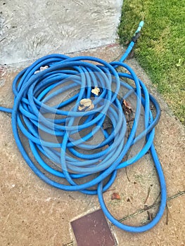 Blue rubber tube for watering plants in the garden