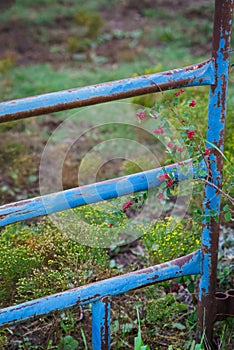 Blue rustic corral gate