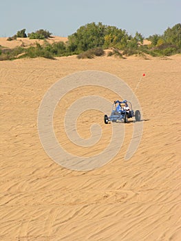 Blue Sandrail at Little Sahara