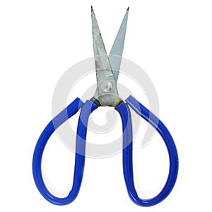 Blue scissors