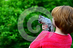 blue Scottish kitten is sitting on woman& x27;s shoulder. Outdoors