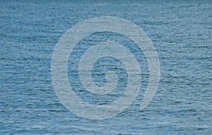 Blue sea close up background