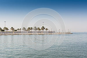 Blue sea and green date palm trees in the corniche park in Dammam, Saudi Arabia