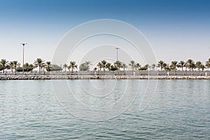 Blue sea and green date palm trees in the corniche park in Dammam, Saudi Arabia