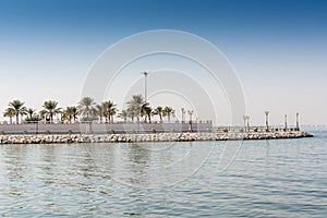 Blue sea and green date palm trees in the corniche park in Dammam, Saudi Arabia