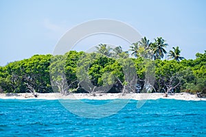 Blue sea, green tropical trees