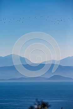 Blue sea, mountain range and flying flock of birds