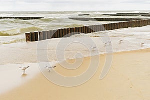 Blue sea texture with waves and foam, travel and summer panoramic background.