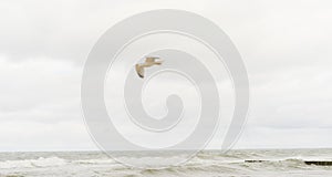 Blue sea texture with waves and foam, travel and summer panoramic background.