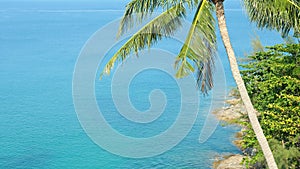 Blue sea view with green tropical palm tree in hot summer day. Beautiful coastline with turquoise water and stones