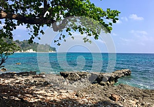 Blue sea water and blue sky in beautiful sunny day with green tree