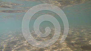 Blue sea water sunny refractions on sandy bottom, underwater loop-ready background