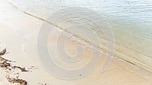 Blue sea wave background on sandy beach with seaweed