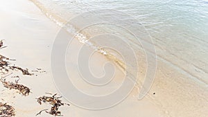 Blue sea wave background on sandy beach with seaweed