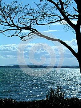 A blue Seascape