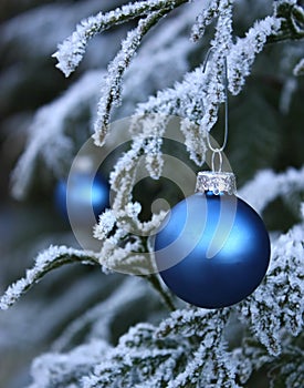 Blue seasonal baubles on frosted tree