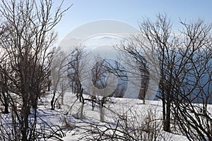 Blue Sevan lake, trees and beautiful snowy photo