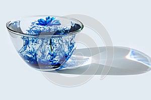 Blue shadow water flower glass bright ray sun light acrylic paint astra calendula white black