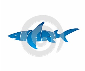 Blue Shark Typography Logo