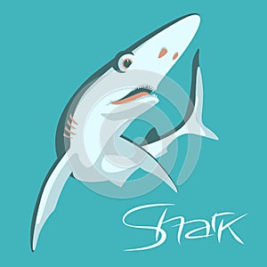 Shark vector illustration flat style profile view