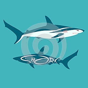 Shark vector illustration flat style silhouette profile view