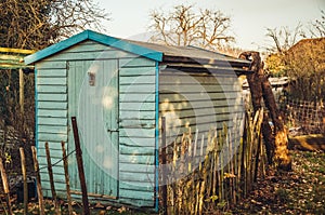 Blue shed in allotments photo