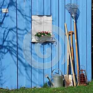 Blue shed with garden tools